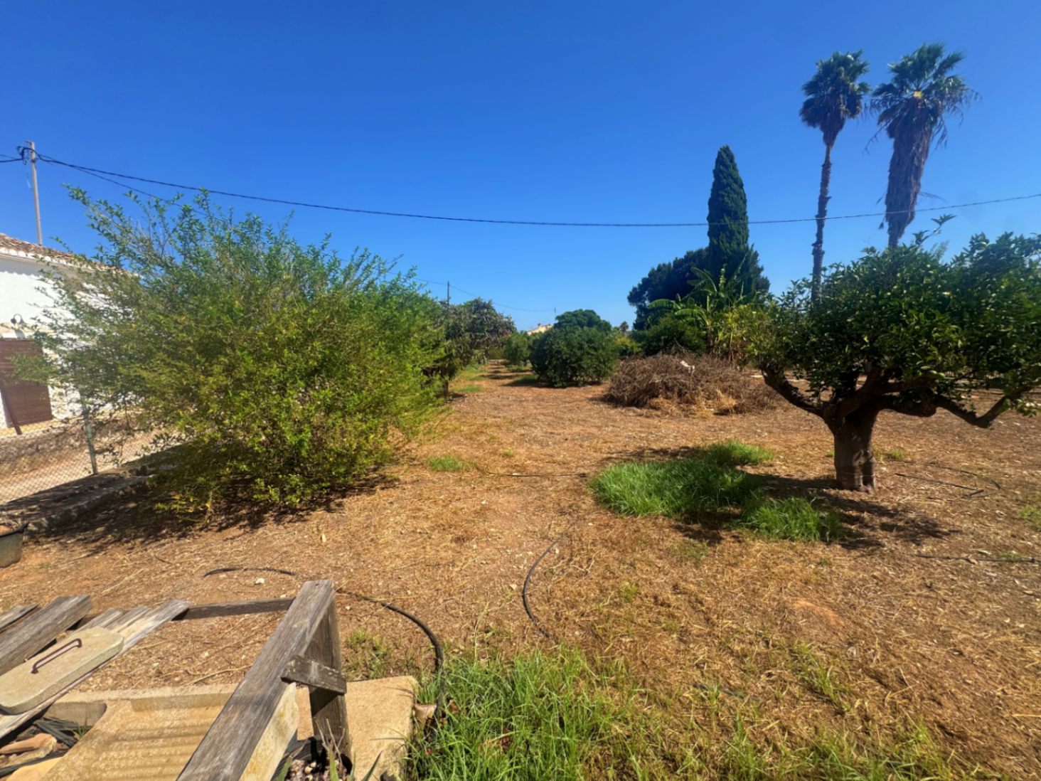 Attached country house, plus large plot with fruit trees.