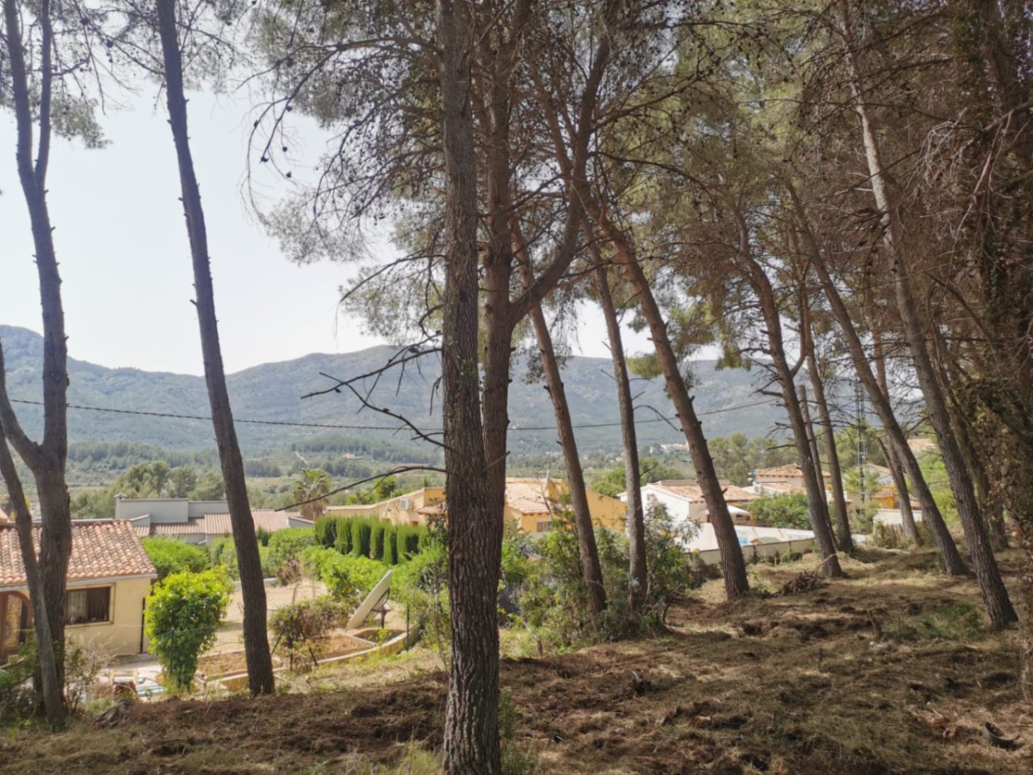 Spacious plot for sale in a development in Alcalalí.