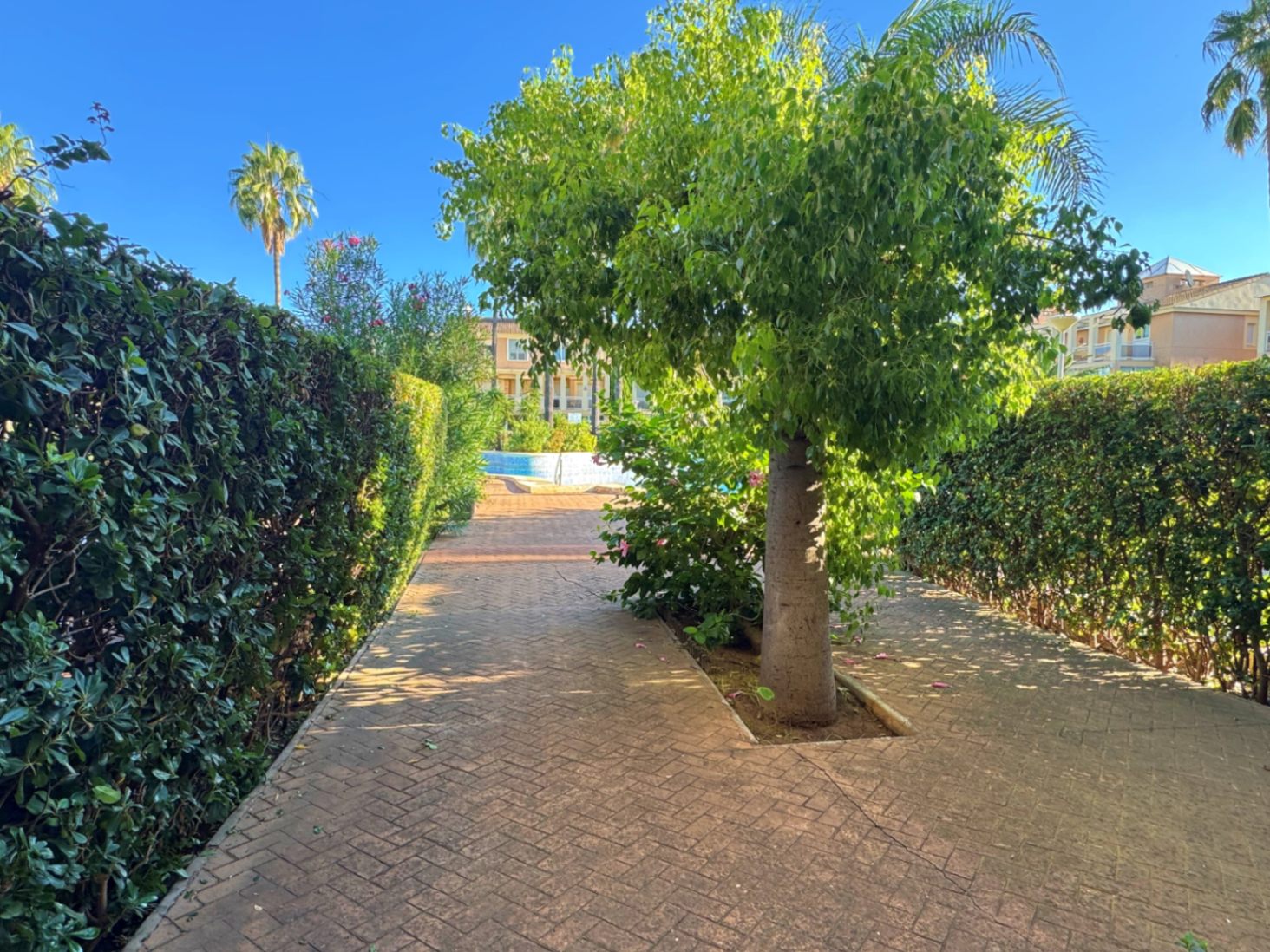 Appartement à vendre à Denia, 2 chambres et piscine commune