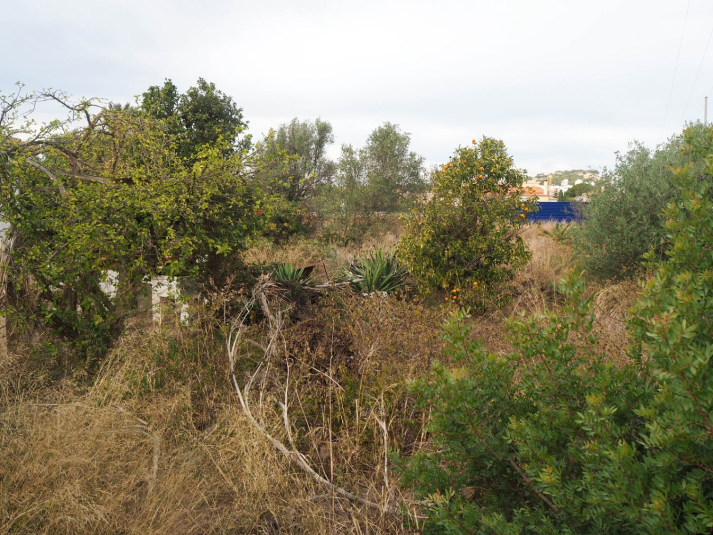 Country house with large plot for sale in Denia
